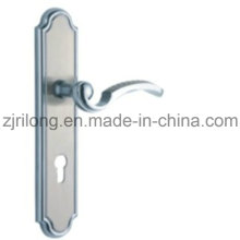 New Modern Style Door Lock for Decoration Df 2749